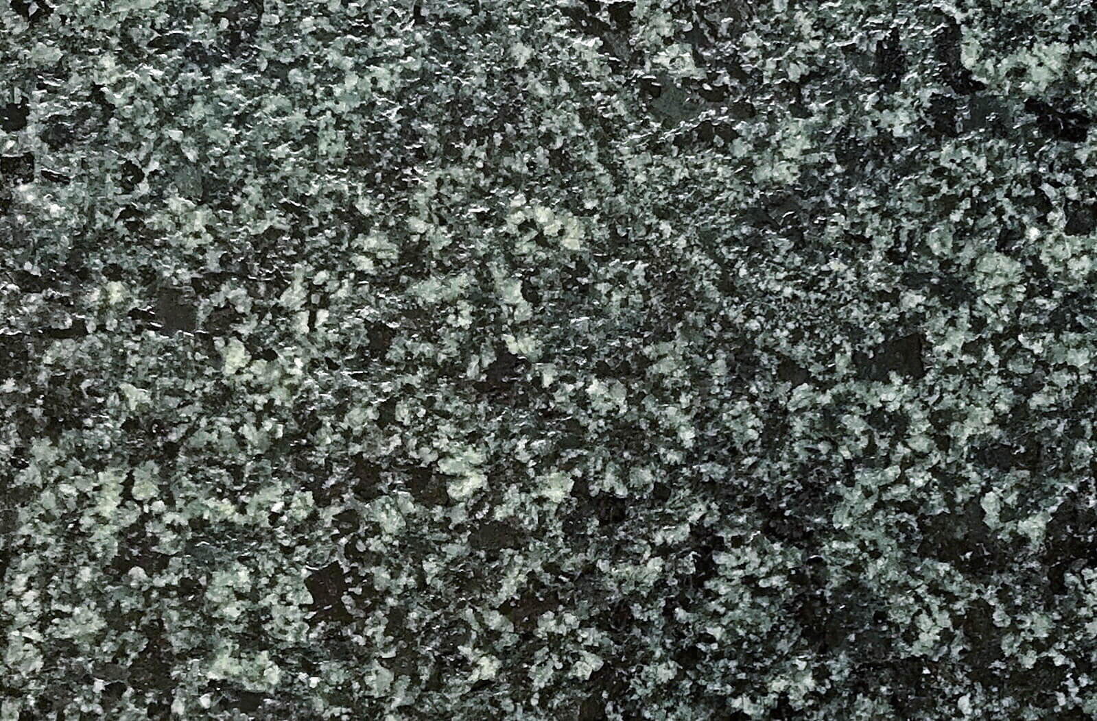 菊花绿皮革面 菊花绿皮革面